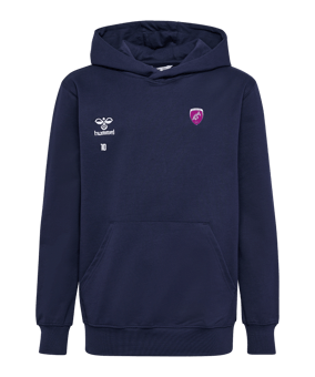 Sweat à capuche Hummel GO 2.0 enfant bleu F7026 