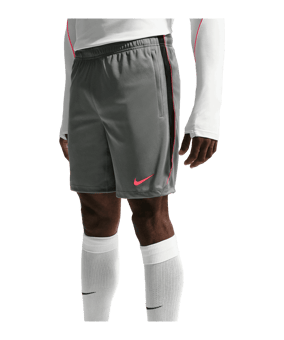 Nike Strike Short Grau F013 - grau