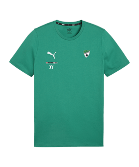 PUMA teamGOAL Casuals T-Shirt Grün F05