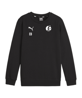 PUMA teamGOAL Casuals Sweatshirt Kids Schwarz F03