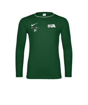 Nike Park 26 Longsleeve Grün F302