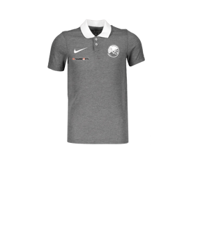 Nike Park 20 Poloshirt Kids Grau Weiss F071