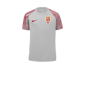 Maillot Nike Academy enfants blanc rouge F100 