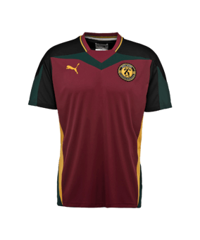 PUMA x Daily Paper Tee T-Shirt F95 - rot