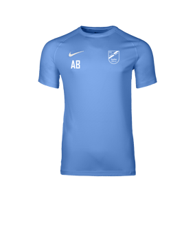 Nike Park VIII Trikot Blau F412