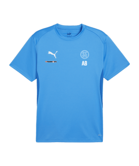 PUMA teamGOAL Trikot Blau F02