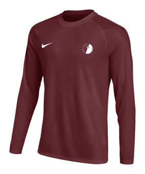 Nike Park VIII Trikot langarm Rot F677