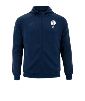 adidas Tiro 25 veste capuche bleu