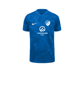 Nike Precision VII Trikot Kids Blau F463