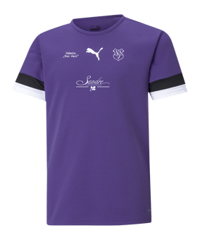 PUMA teamRISE Trikot Kids Lila F10