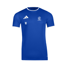 adidas Entrada 26 Trikot Blau