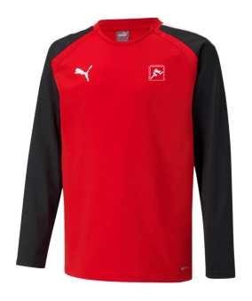 PUMA teamLIGA Sweatshirt Kids Rot F01