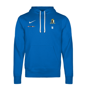 Nike Park 26 Hoody Blau F463