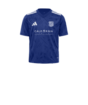 adidas Team Icon 25 Trikot Kids Blau