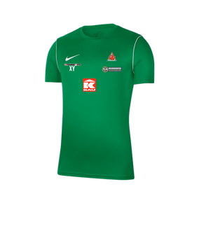 Nike Park 20 Training Shirt Grün F302