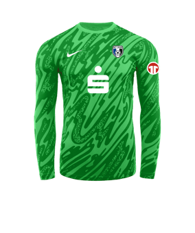 Nike Gardien V Torwarttrikot Grün F329