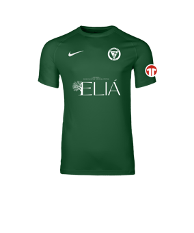 Nike Park VIII Trikot Grün F302