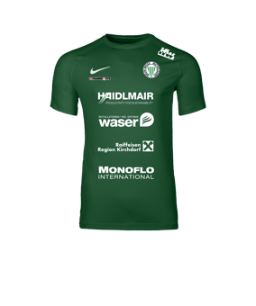 Nike Park VIII Trikot Grün F302