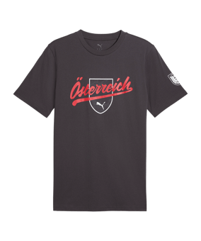 PUMA ÖFB Österreich FtblCulture T-Shirt Grau F25 - grau
