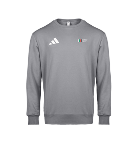 adidas Entrada 26 Sweatshirt Grau