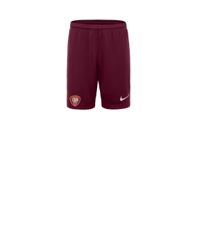 Nike Park III Court Enfants Rouge C677 