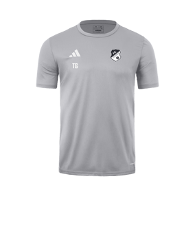 adidas Tabela 23 Trikot Grau Weiss