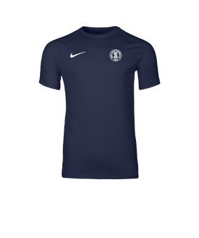 Nike Park VIII Trikot Blau F410