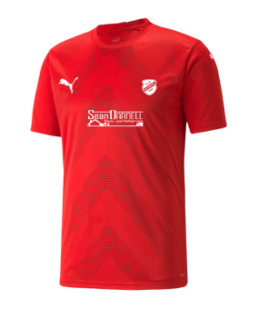 PUMA teamGLORY Trikot Rot F01