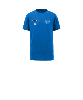 Nike Park 20 T-Shirt Kids Blau Weiss F463