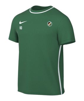 Nike Park 26 Trainingsshirt Kids Grün F302