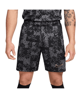 Nike Academy Pro Short Grau F069 - grau