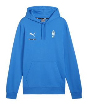 PUMA teamGOAL Casuals Hoody Blau F02