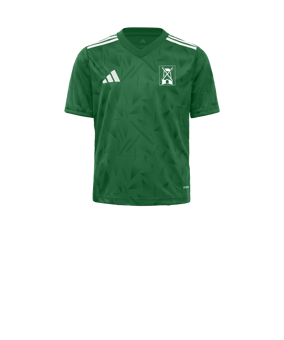 adidas Team Icon 25 Trikot Kids Grün