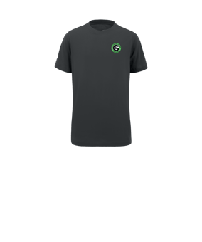 Nike Park 20 T-Shirt Kids Grau Weiss F071