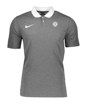 Nike Park 20 Poloshirt Grau Weiss F071