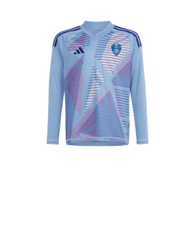 adidas Tiro 24 Competition Torwarttrikot langarm Kids Blau