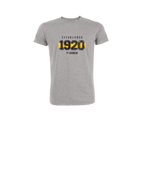 Merch Mini Creator 2.0 T-Shirt Kids Heather Grey  | #established