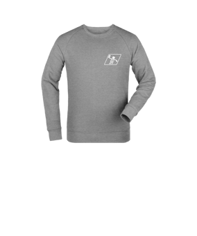 Merch Mini Changer 2.0 Sweatshirt Kids Heather Grey | #sonneberg
