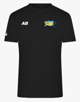 Nike Park 20 T-Shirt Schwarz Weiss F010