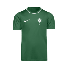 Nike Park 26 Trainingsshirt Kids Grün F302