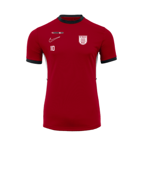 Nike Academy 25 Trainingsshirt Rot F657