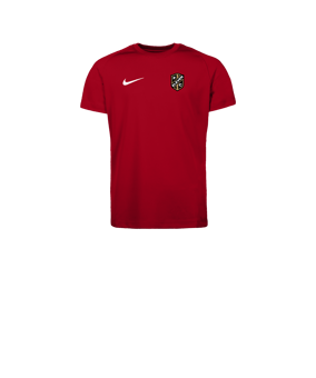 Nike Park VIII Trikot Kids Rot F657