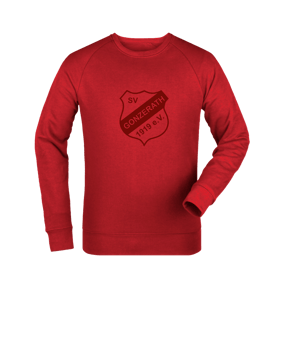 Merch Roller Sweatshirt Red | #toneintone