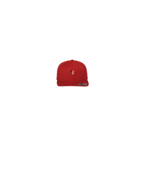 Merch 5 Panel Classic Snapback Cap Red Green