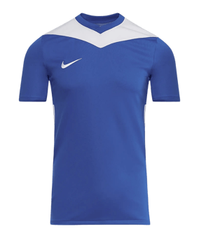 Nike Park Derby IV Trikot Blau F463 - blau