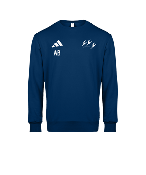 adidas Entrada 26 Sweatshirt Blau