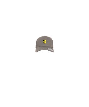 Merch 5 Panel Curved Snapback Cap Grey