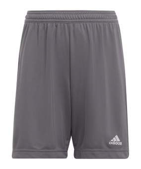 adidas Entrada 22 Short Kids Grau - grau