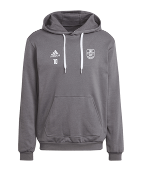 adidas Entrada 22 Hoody Grau