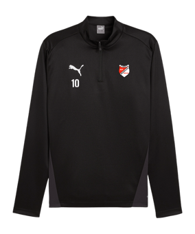 PUMA teamGOAL Training 1/4 Zip Sweatshirt F03